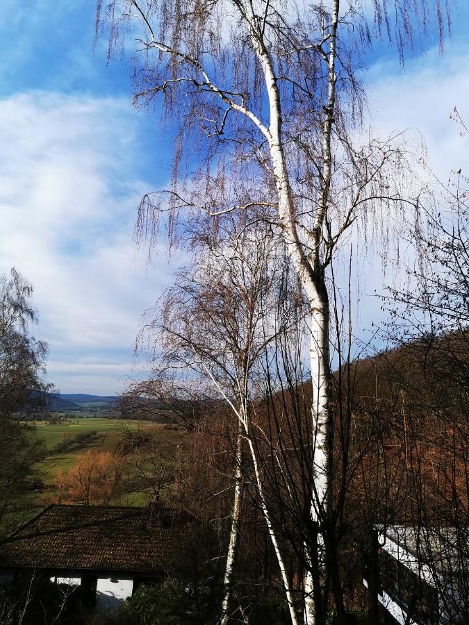 מרבורג Geraeumige 2-Z Wohnung Im Gruenen, Garten, Terrasse, Ruhig, Natur, Phantastischer Blick! מראה חיצוני תמונה